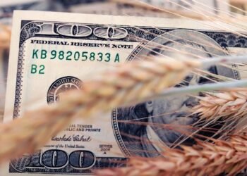 Cautela en el campo: ¿por qué los productores no aumentan sus ventas a pesar de mejores precios?