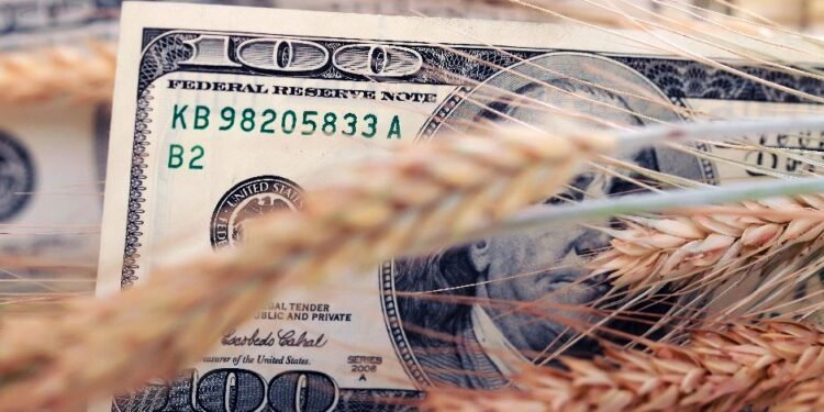 Cautela en el campo: ¿por qué los productores no aumentan sus ventas a pesar de mejores precios?