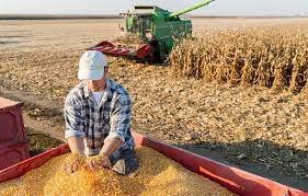 Campo: se registraron exportaciones por más de u$s2.500 millones en el último mes