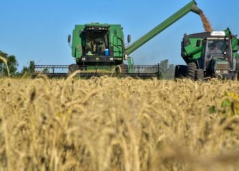 Mínimo en 5 años para impuestos a renta agrícola tras recorte de retenciones
