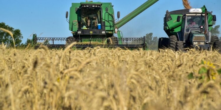 Mínimo en 5 años para impuestos a renta agrícola tras recorte de retenciones