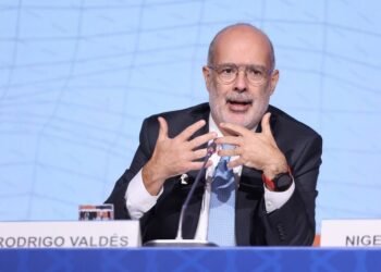 FMI no toma partido, afirma Valdés tras dichos
