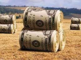 Gobierno y retenciones al campo: la meta en dólares