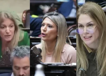 Cruce tenso entre diputada K y Lilia Lemoine