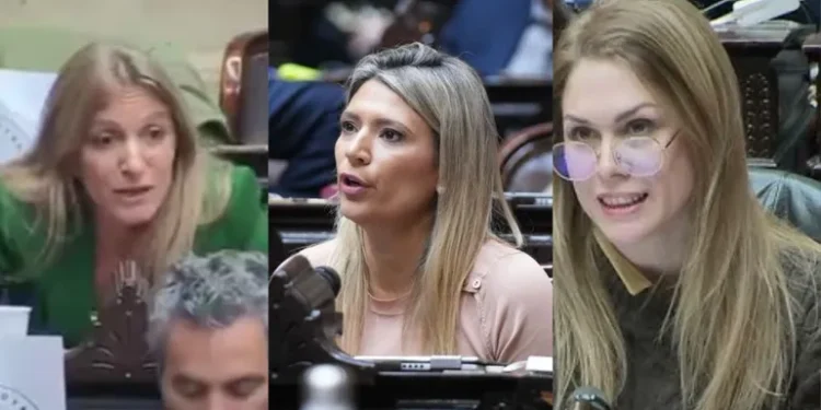 Cruce tenso entre diputada K y Lilia Lemoine