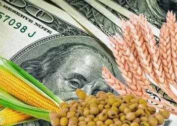 Acuerdo EEUU-Vietnam: Amenaza para exportaciones del agro.