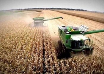 Campo y retenciones: ¿Liquidará los u$s15.000M?