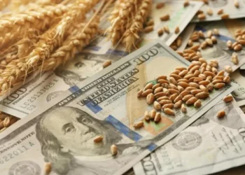 Dólar: Agroexportadores liquidan u$s3.706 millones en junio.