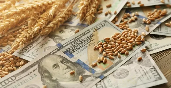 Dólar: Agroexportadores liquidan u$s3.706 millones en junio.