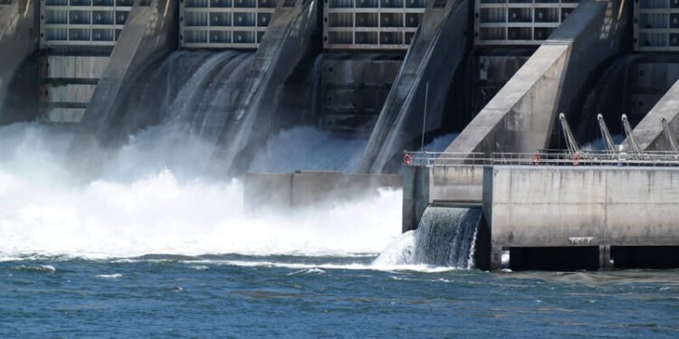 Venta de acciones de cuatro sociedades hidroeléctricas de ENARSA