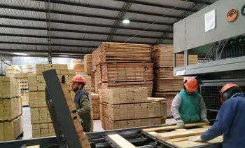 Julio, mes clave para la economía: nueva caída pronosticada.