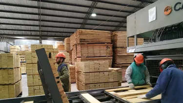 Julio, mes clave para la economía: nueva caída pronosticada.