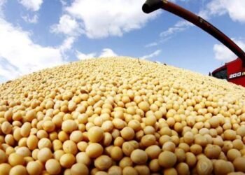 Tensión comercial China-EE. UU.: Beneficia a soja argentina fuera de estación.