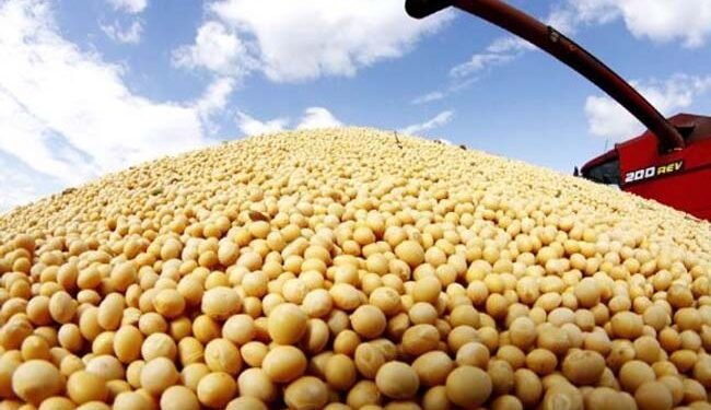 Tensión comercial China-EE. UU.: Beneficia a soja argentina fuera de estación.