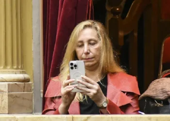 Escándalo ANDIS: Audios de Karina Milei