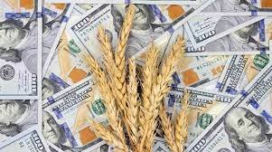 Diputados: buscan llevar fondo agropecuario a $130.000 millones.