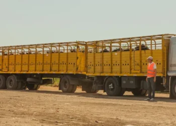 Transporte de animales: Senasa aprueba nueva regulación.