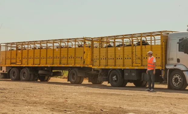 Transporte de animales: Senasa aprueba nueva regulación.