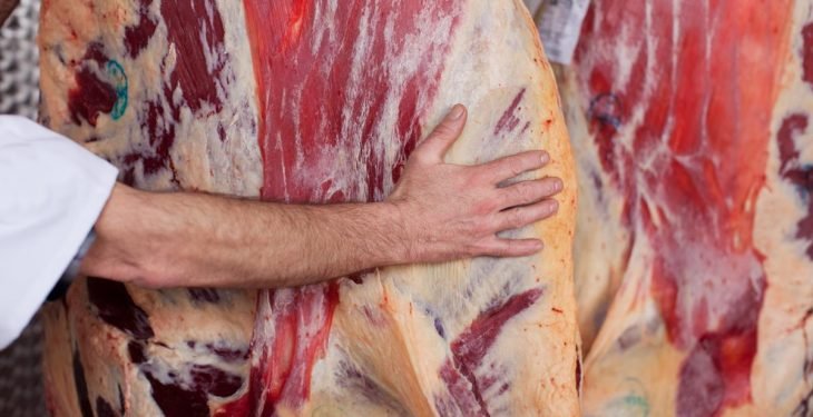Aumenta el consumo de carne en agosto: factores y precios.