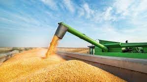 Legislación: el agro busca impulsar exportaciones.