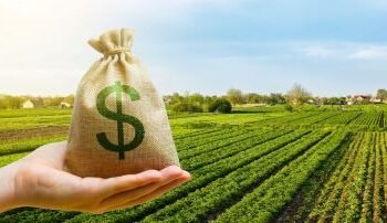 Octubre negro para el dólar: Liquidaciones se desploman.