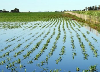 2025: Auge de Casas en Zonas de Riesgo y Retroceso del Gas.