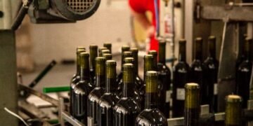 Vino: La desregulación genera desacuerdo en la industria.