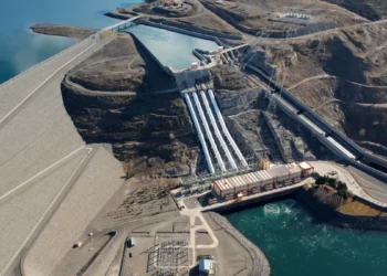 Hidroeléctricas: Economía precalifica a los interesados.