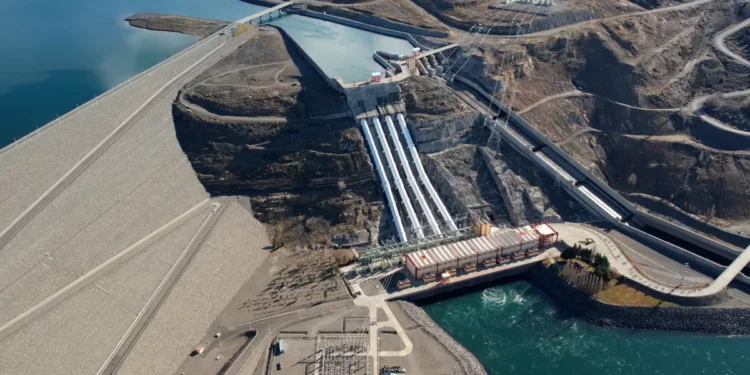 Hidroeléctricas: Economía precalifica a los interesados.