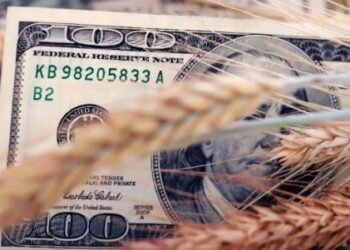 Ingreso de dólares a salvo pese al precio bajo del trigo.