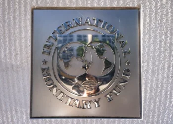 Milei, bajo fuego de exdirector del FMI.