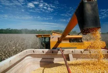 Nueva rebaja de retenciones para la soja y granos.