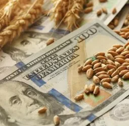 Cálculo de retenciones en Presupuesto 2026 “no cierra”.