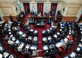 Incendios: Insisten en ley especial para la Patagonia.