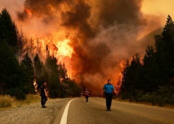 Incendios en el Sur: Grabois desafía a Adorni a ser sindicalista.
