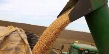 Fuerte ingreso de divisas: Agro liquidó 82% más en enero.