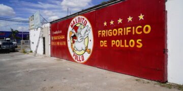 Multa millonaria y clausura para empresa avícola que arrojaba residuos en la vía pública