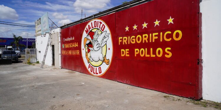 Multa millonaria y clausura para empresa avícola que arrojaba residuos en la vía pública