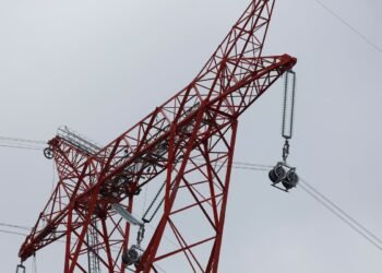 Edison Energía-Genneia se adjudica la oferta ganadora para Transener