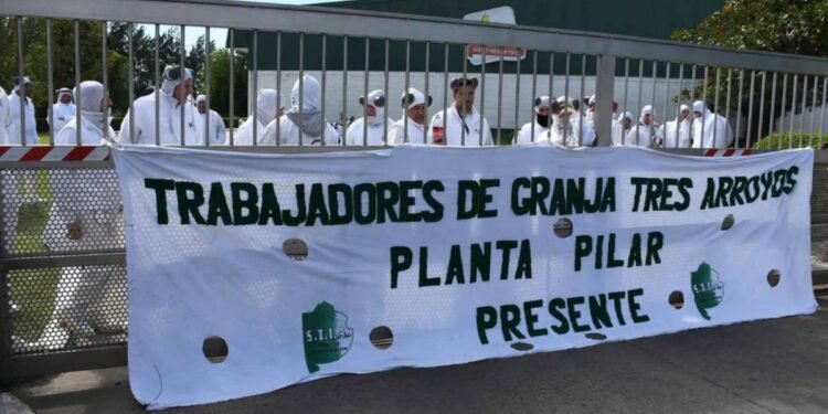 Crisis financiera en Granja Tres Arroyos: debe $51.700 millones