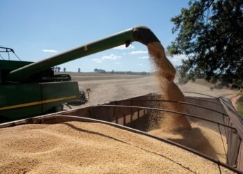 Análisis sobre la comercialización de soja tras el anuncio de reducción de retenciones para 2027