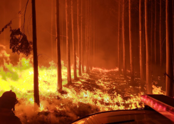 Incendio en Cafayate: más de 200 hectáreas afectadas y controlado