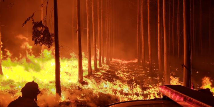 Incendio en Cafayate: más de 200 hectáreas afectadas y controlado