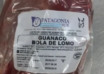 La carne de guanaco irrumpe en el ámbito cotidiano