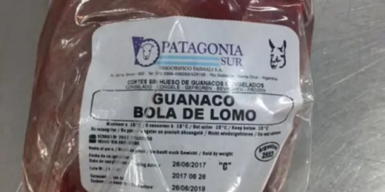 La carne de guanaco irrumpe en el ámbito cotidiano