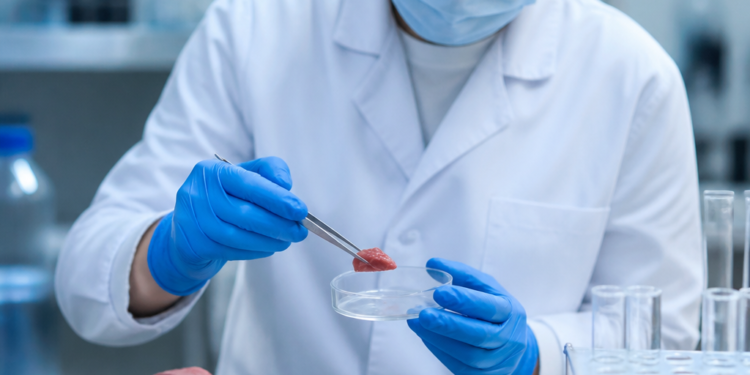 Investigadores desarrollan un material innovador para conservar carne