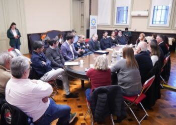 Diputados de Unión por la Patria se reúnen con trabajadores del Conicet y la CNEA antes de la marcha por despidos