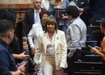 El Senado enfrenta un desafío clave: Bullrich busca abrir el recinto para discutir la propiedad privada