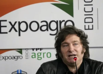 Los efectos de las recientes decisiones de Javier Milei generan inquietud entre los inversores