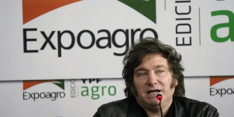 Los efectos de las recientes decisiones de Javier Milei generan inquietud entre los inversores